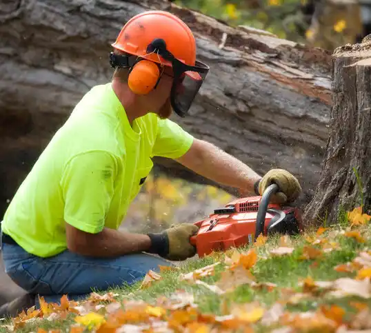 tree services Marthasville